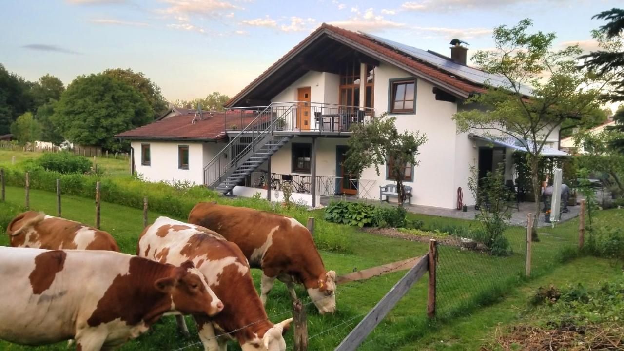 Exclusiv - Ferienwohnung Hinterreiter Ainring Dış mekan fotoğraf